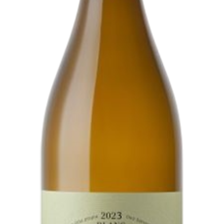 mas codina blanc 2023 1