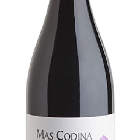 Mas Codina Vi Negre Jove DO Penedes 1 1