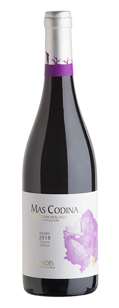 Mas Codina Vi Negre Jove DO Penedes 1 1